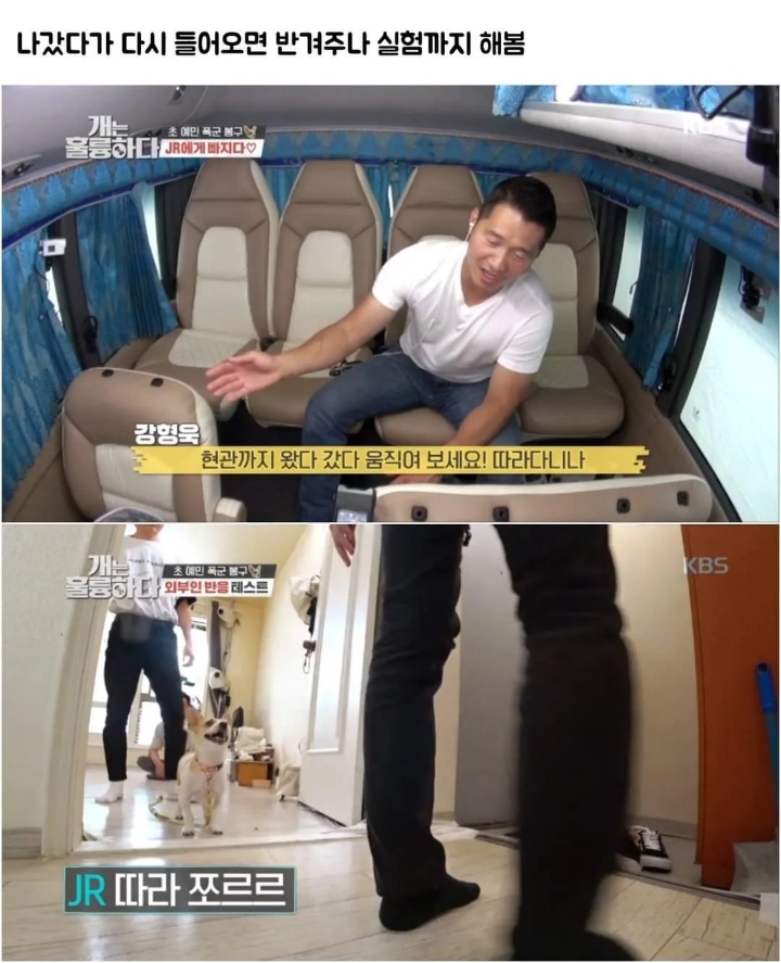 문제견이 있었는데요....없었습니다.jpg | 인스티즈