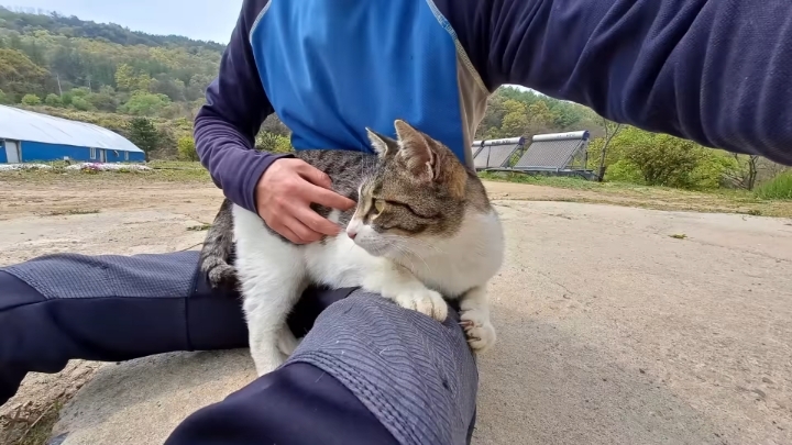 haha ha 앞에서 대놓고 광고하는데 거부감이 없다 | 인스티즈