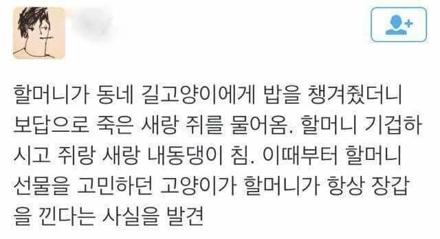 은혜 갚은 고양이.jpg | 인스티즈