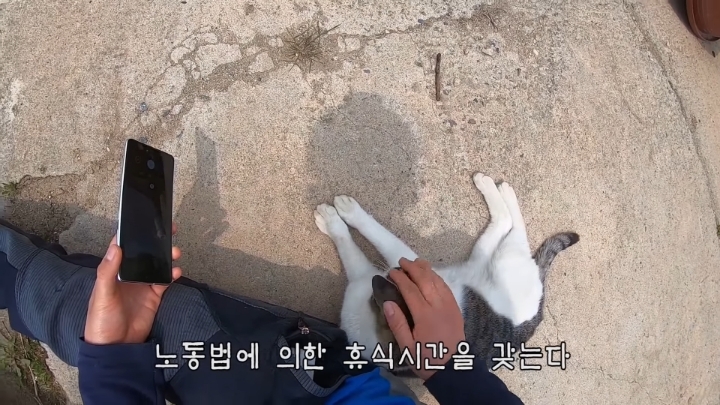 haha ha 앞에서 대놓고 광고하는데 거부감이 없다 | 인스티즈