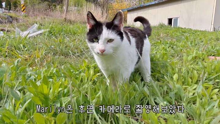 haha ha 앞에서 대놓고 광고하는데 거부감이 없다 | 인스티즈