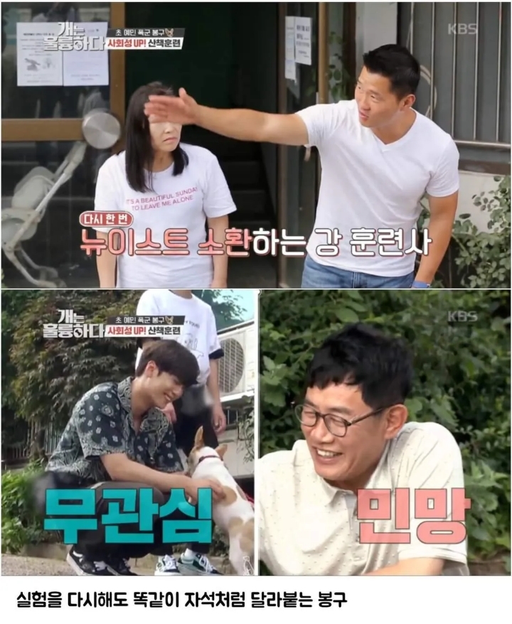 문제견이 있었는데요....없었습니다.jpg | 인스티즈