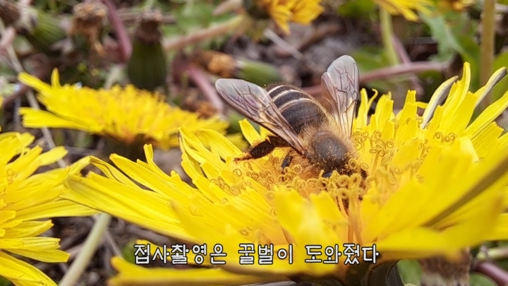 haha ha 앞에서 대놓고 광고하는데 거부감이 없다 | 인스티즈