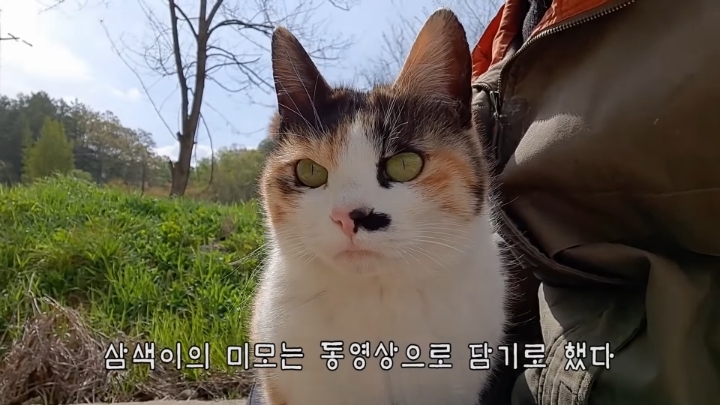 haha ha 앞에서 대놓고 광고하는데 거부감이 없다 | 인스티즈