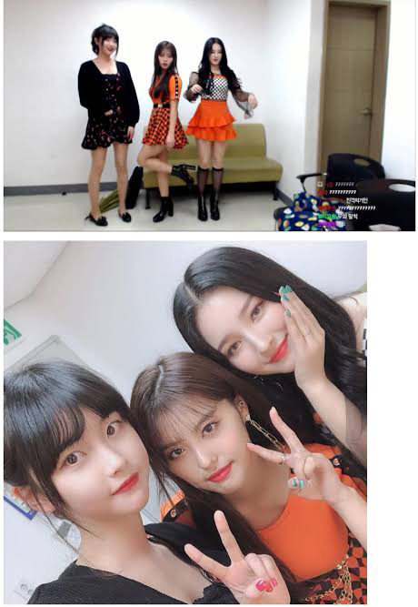 모모랜드와 고말숙 ㅎㄷㄷㄷ | 인스티즈