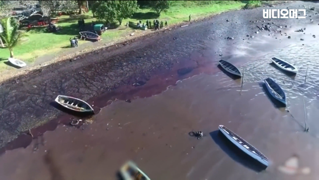 일본 선박 때문에 역대 최악의 환경재해를 겪고 있는 모리셔스.jpg | 인스티즈