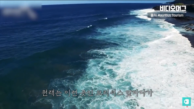 일본 선박 때문에 역대 최악의 환경재해를 겪고 있는 모리셔스.jpg | 인스티즈