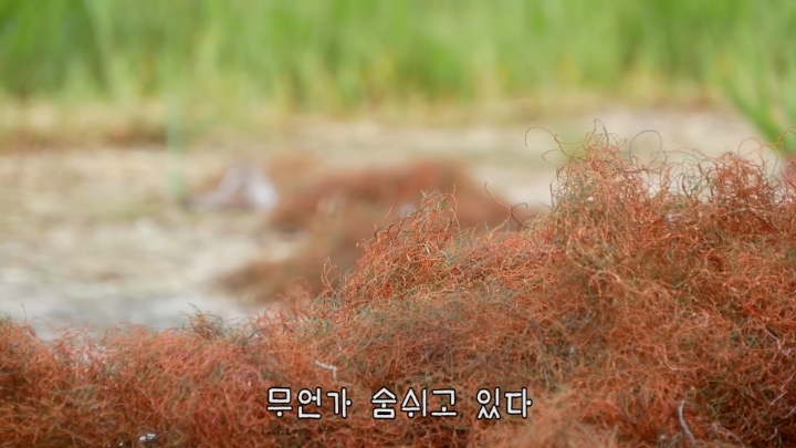 haha ha 야통이 vlog | 인스티즈