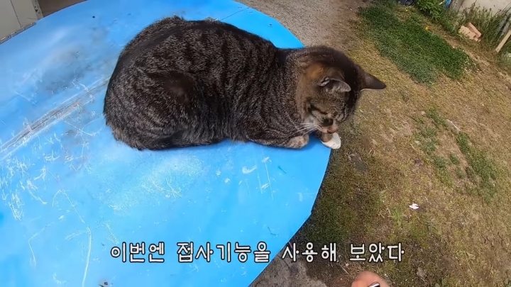 haha ha 앞에서 대놓고 광고하는데 거부감이 없다 | 인스티즈