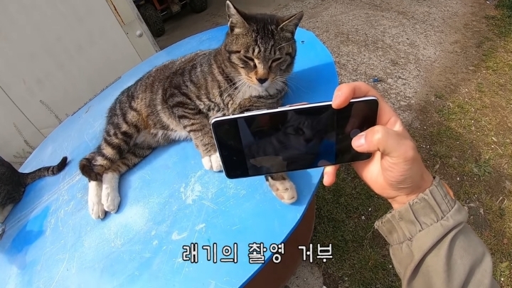 haha ha 앞에서 대놓고 광고하는데 거부감이 없다 | 인스티즈