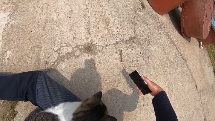 haha ha 앞에서 대놓고 광고하는데 거부감이 없다 | 인스티즈