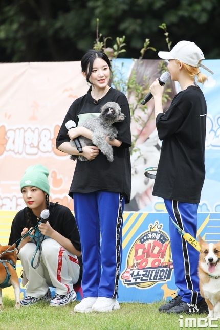 하쿠 이미지