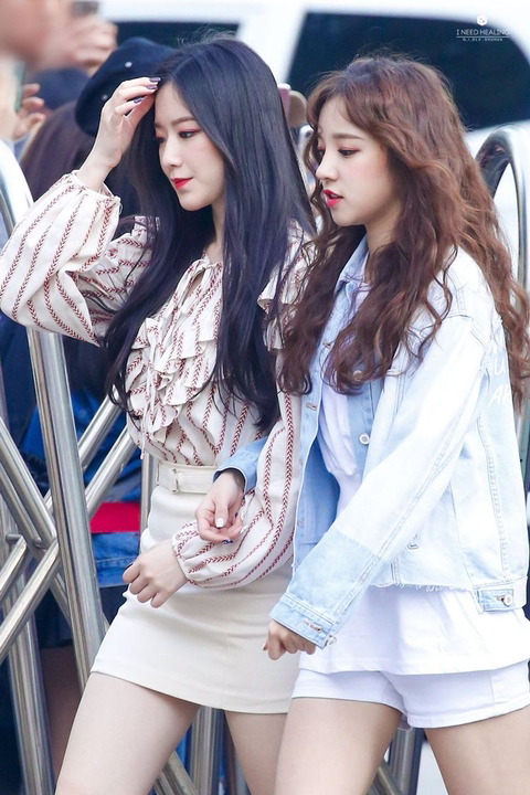 수잔 이미지