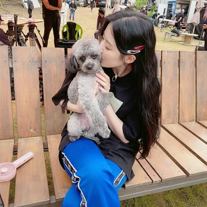 하쿠 이미지