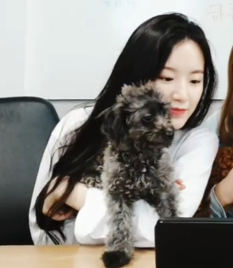 하쿠 이미지