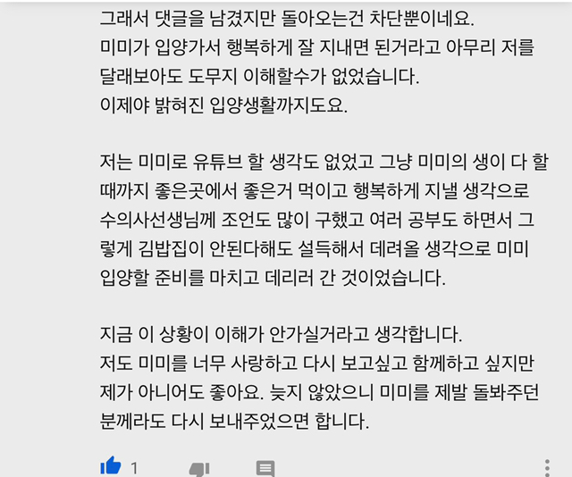 고양이김밥 이미지
