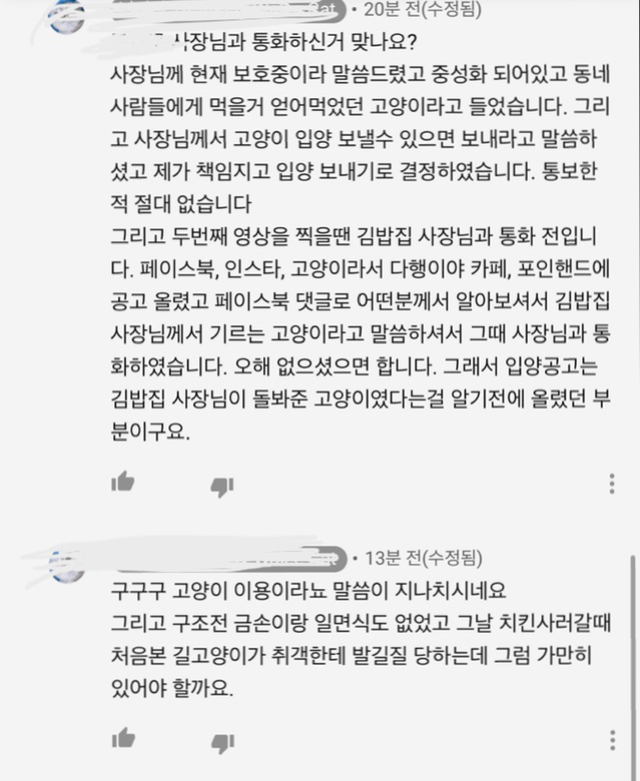 고양이김밥 이미지