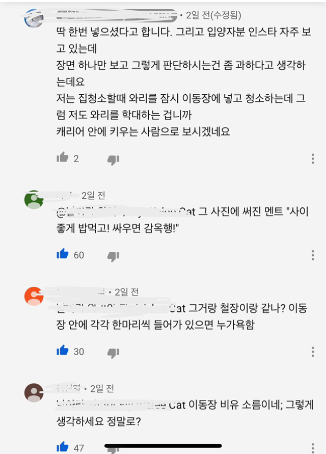 고양이김밥 이미지