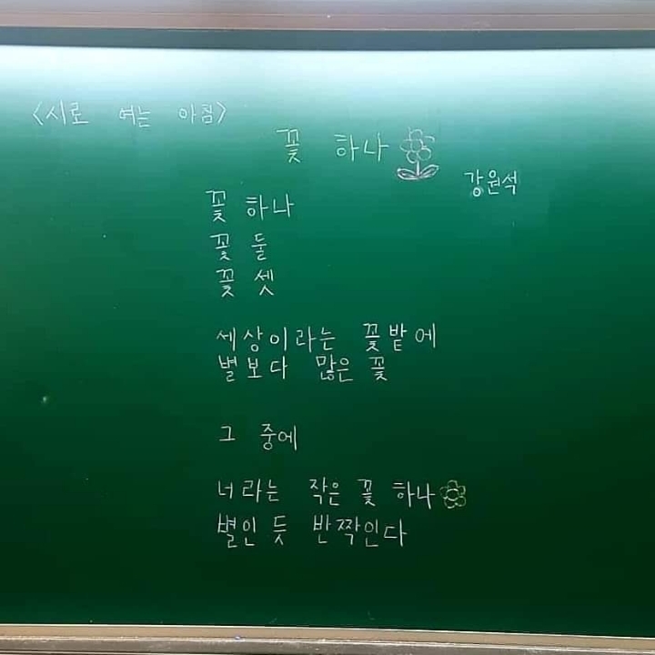 꽃하나 이미지
