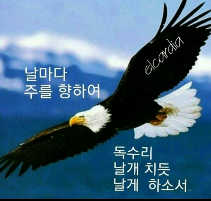 바라 이미지