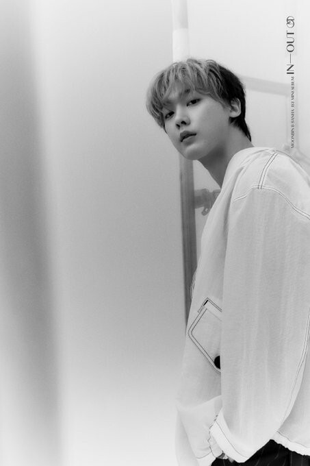 달콩 이미지