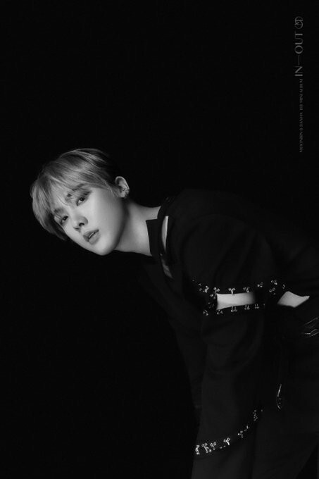 달콩 이미지
