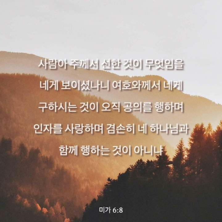 주 미가 이미지