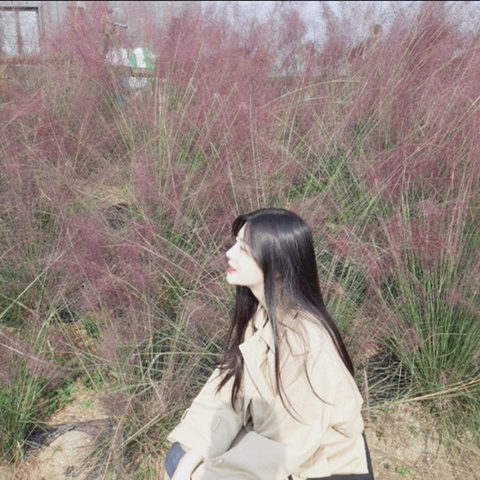 세은 이미지