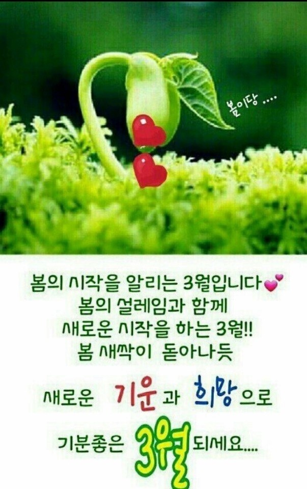 샬롬 이미지