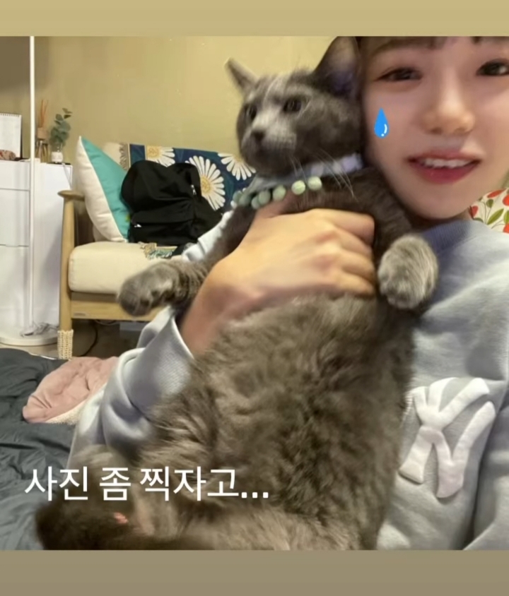 율스토리 이미지