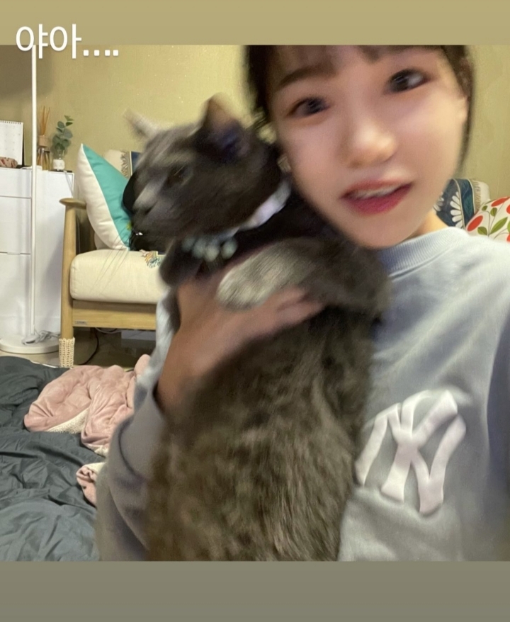 율스토리 이미지