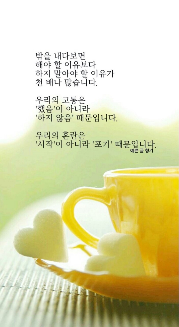 인생은생방송 이미지