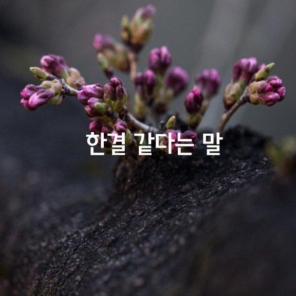 한결 이미지