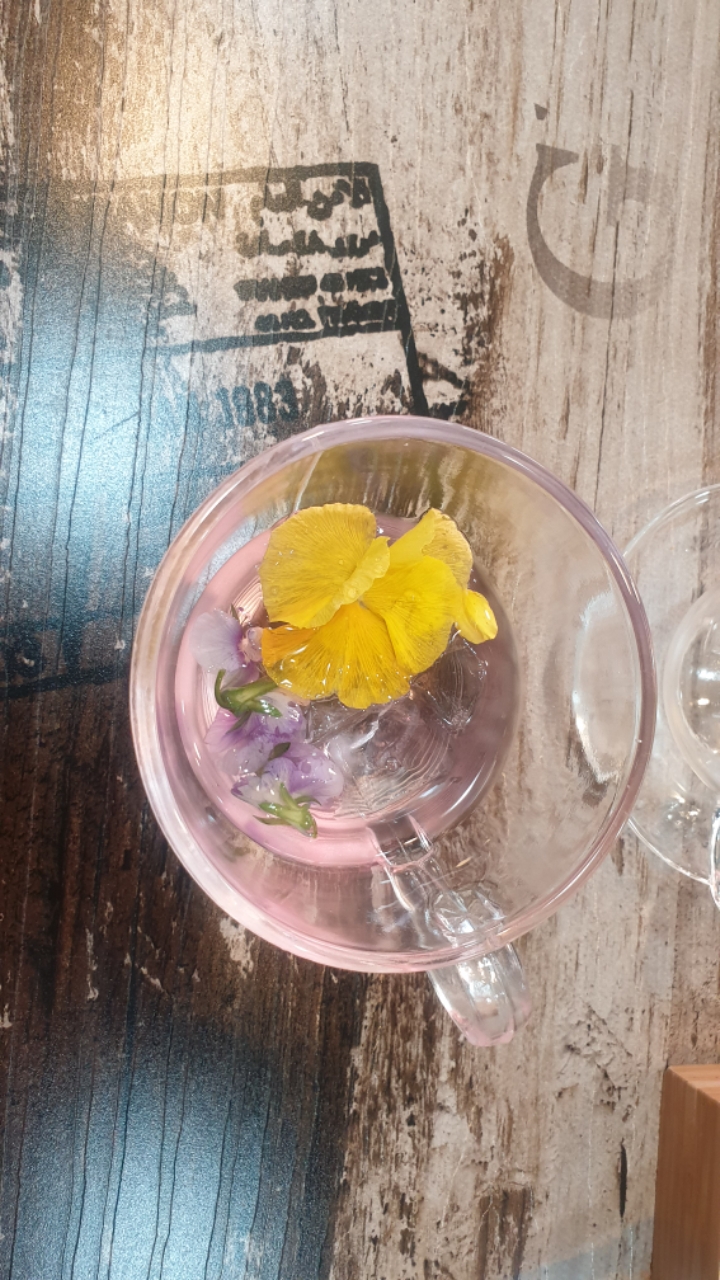 지리산꽃다연 이미지