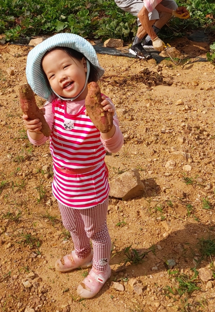 산골마트 이미지