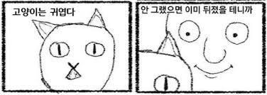 고양이는 귀엽다 | 인스티즈