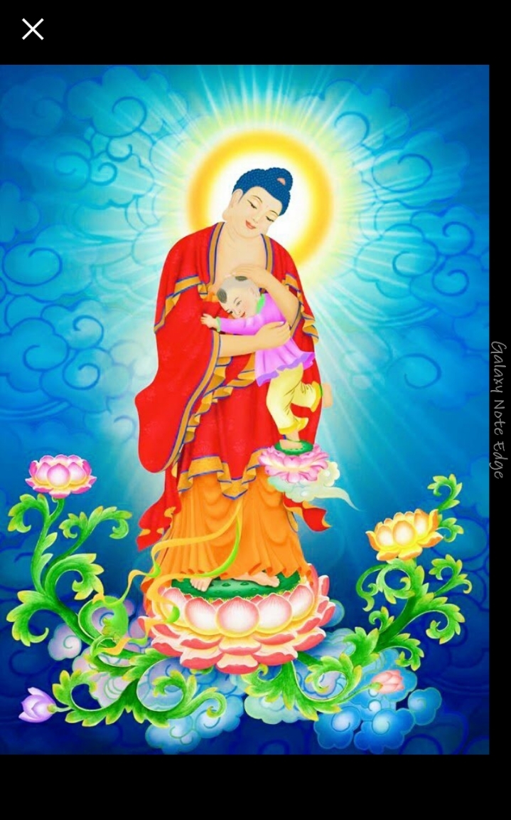 수보리 이미지