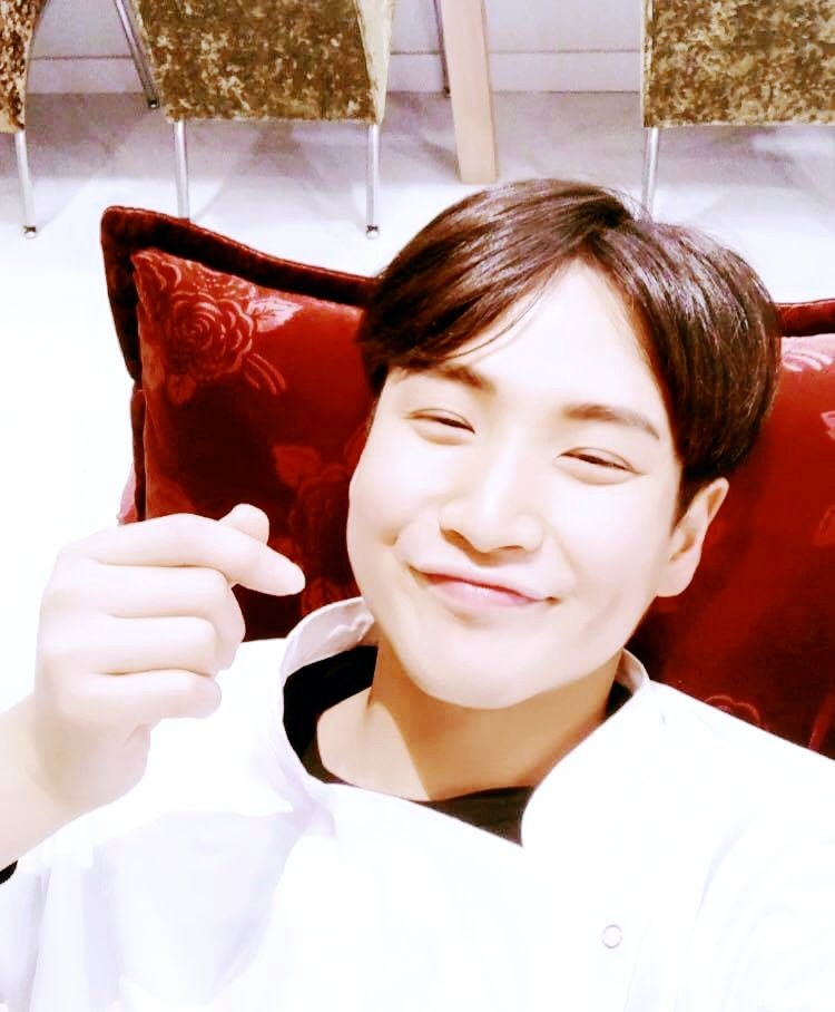 고엔 이미지
