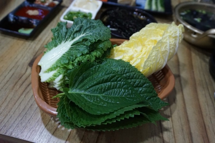 해초과메기 이미지
