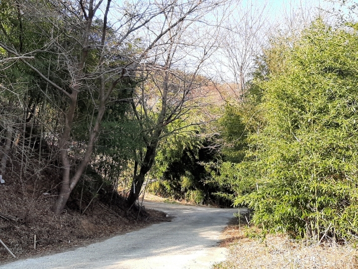 대안여행 이미지