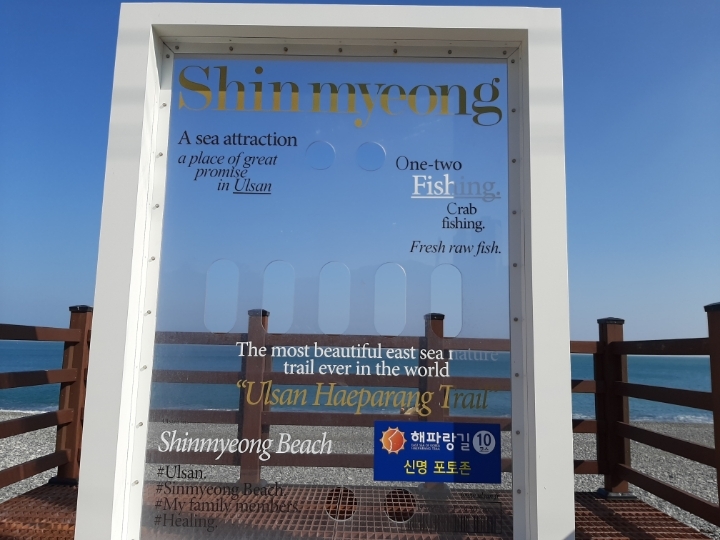 대안여행 이미지