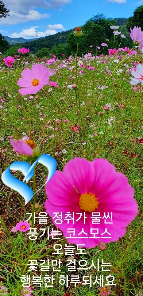 새물내 이미지