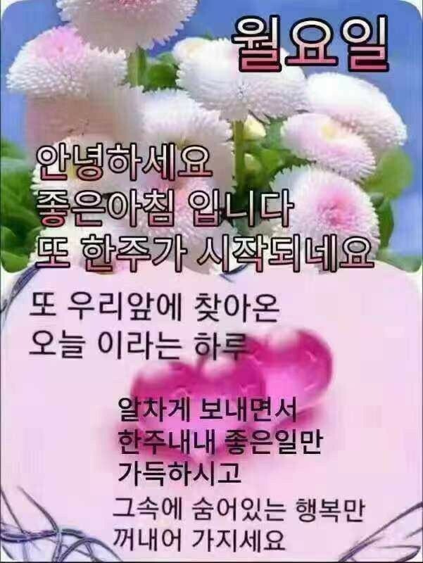 새물내 이미지