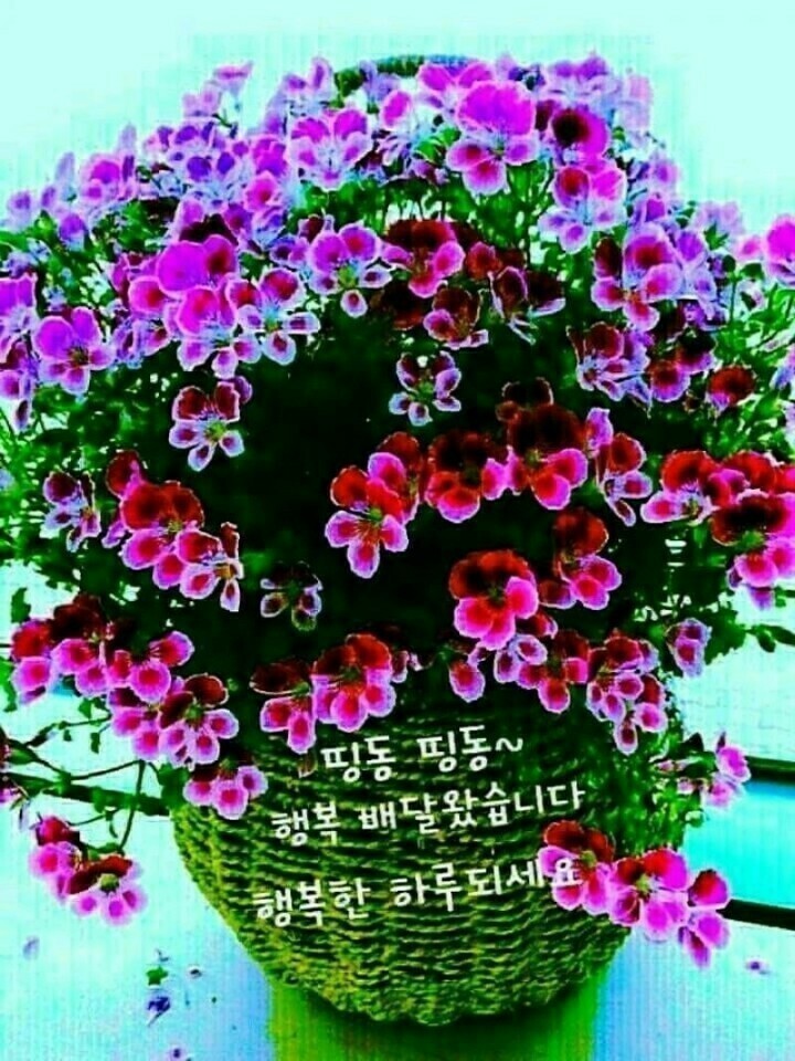 새물내 이미지