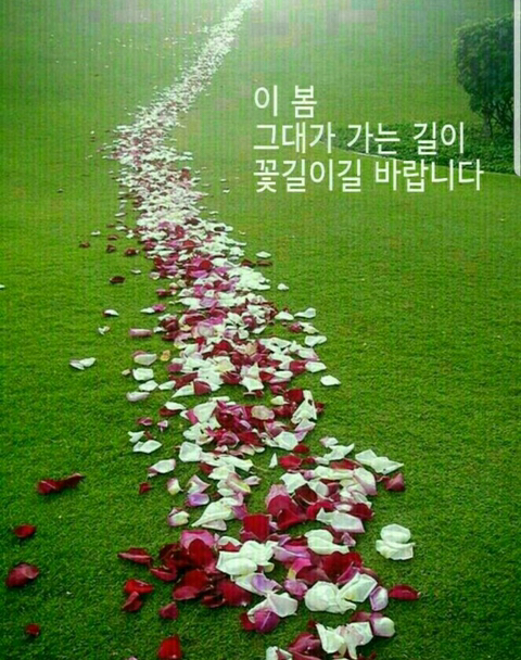 예쁜날;오늘당신 이미지