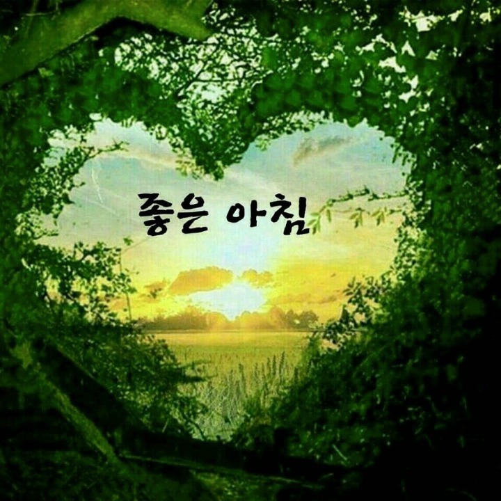 새물내 이미지