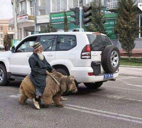 마샤 이미지