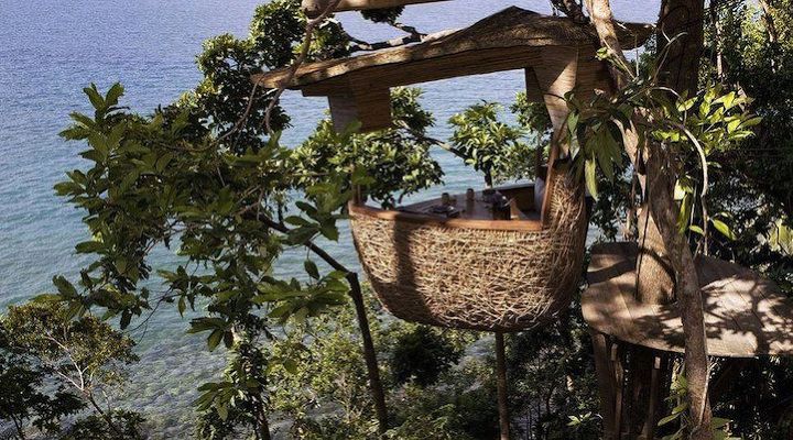 나무위에서 식사하기 - Soneva Kiri resort | 인스티즈