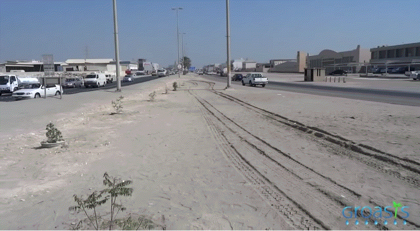 두바이 사막을 숲으로 바꾸고 있는 화분 | 인스티즈