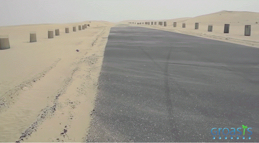 두바이 사막을 숲으로 바꾸고 있는 화분 | 인스티즈